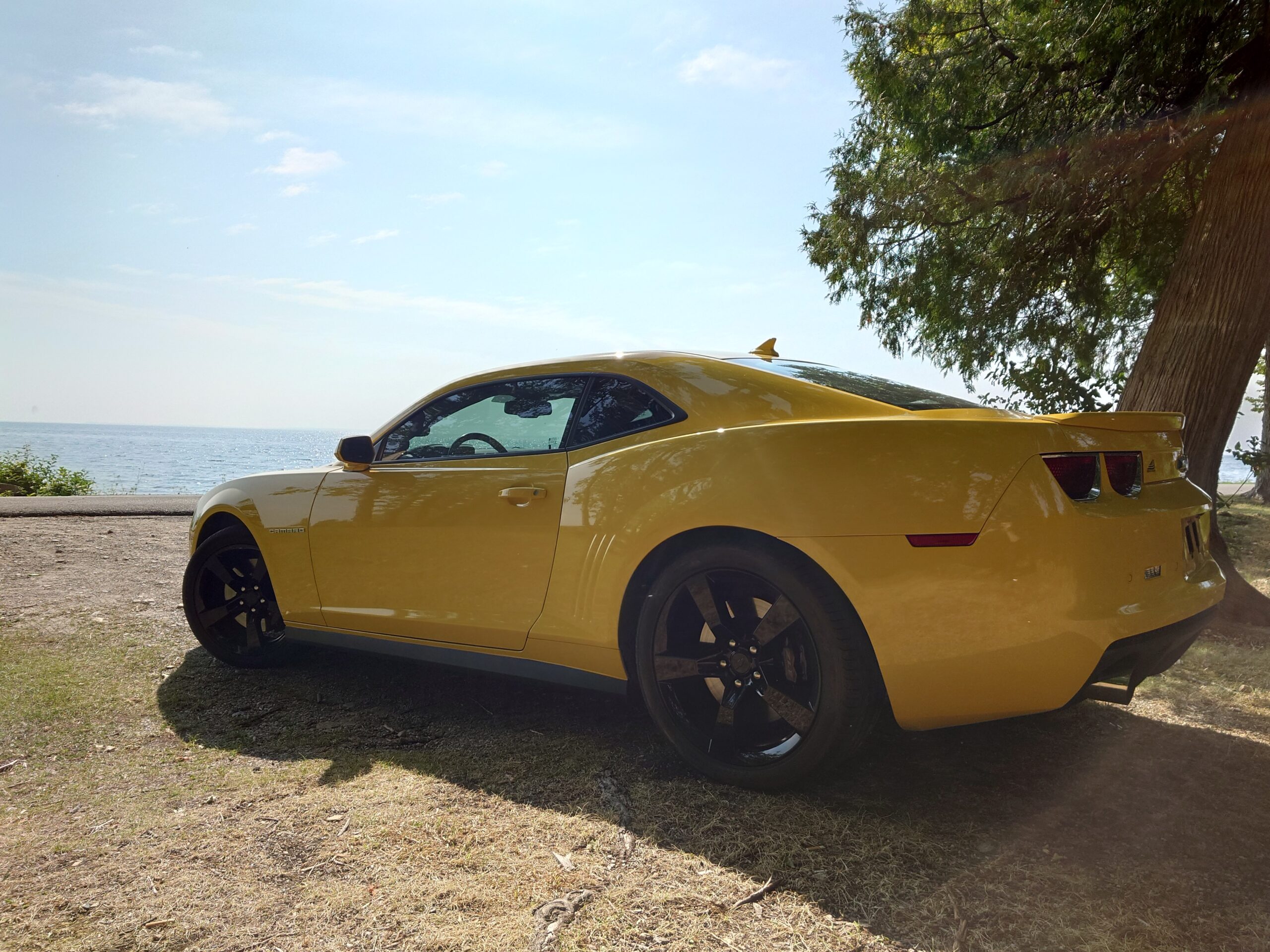 
								12Camaro full									