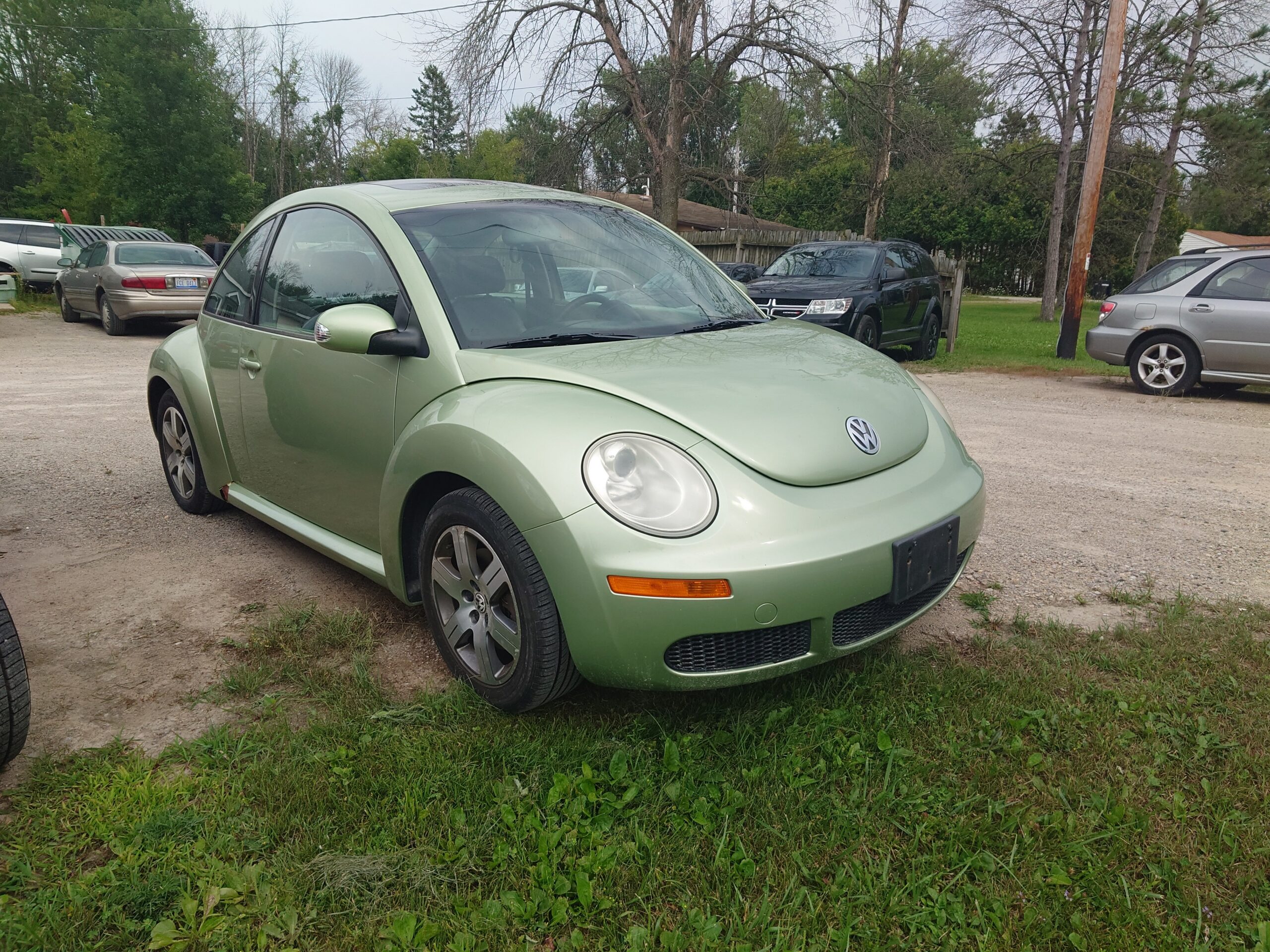 
								06Beetle full									