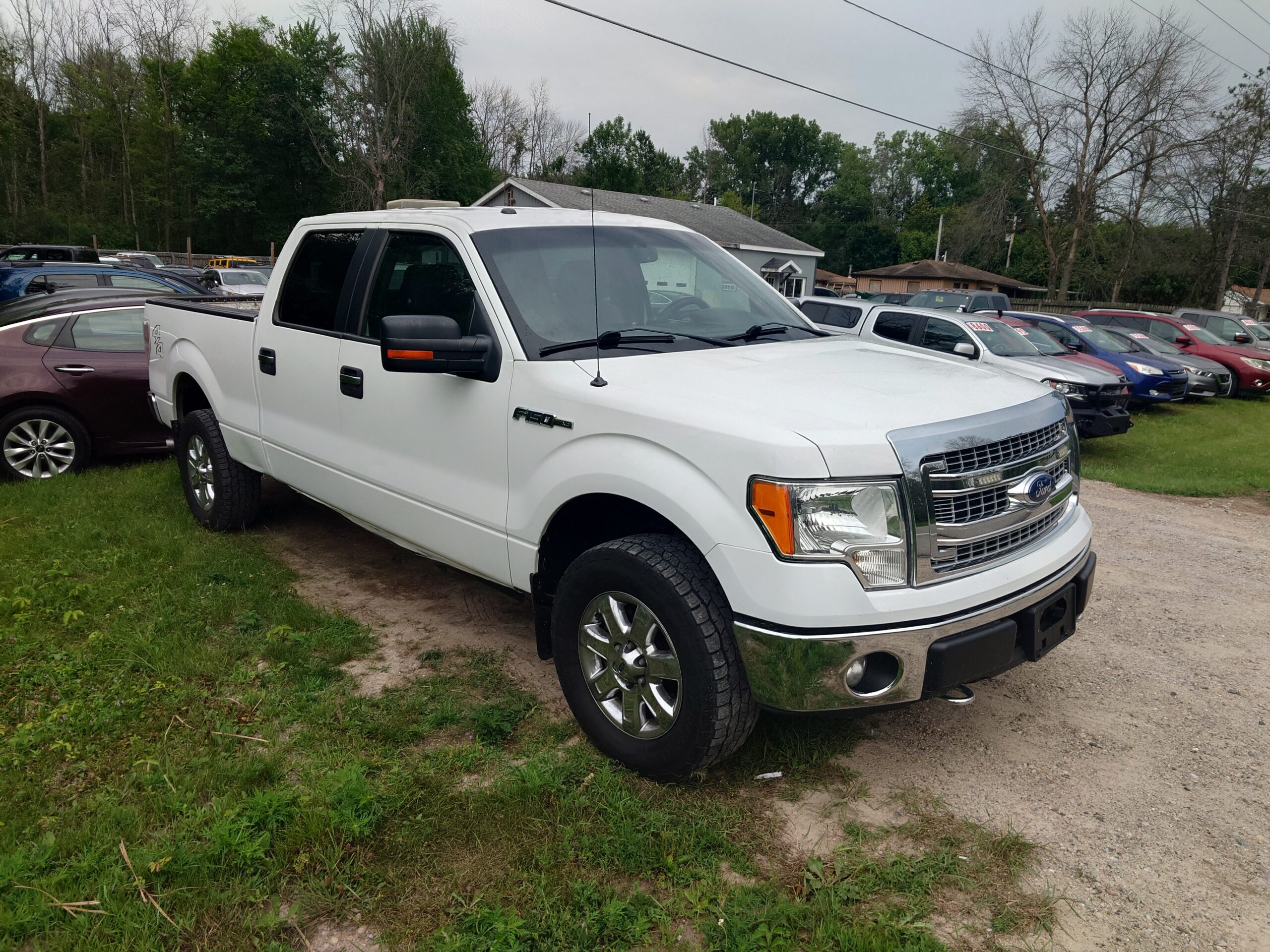 
								14f150 full									
